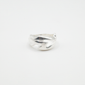 Bolt Ring