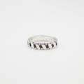 Fraction Ring